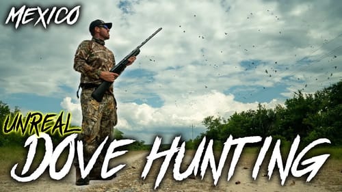 INSANE Dove Hunting in Mexico - All Time Record BROKEN