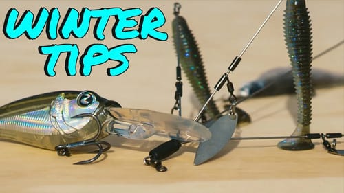 Try This Easy Trick To Trigger Winter Bass!