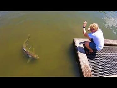 We FOUND the CITY POND MONSTER!!