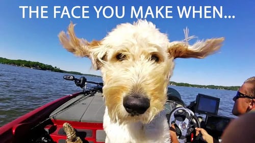 Flood Water, Thunderstorms, Water Level Dropping, When The BITE GETS TOUGH!