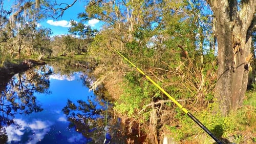I CAN'T BELIEVE WHAT IS IN THIS SMALL ROADSIDE CREEK!!! (Fish Breaks My Rod!)
