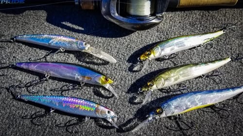 Cold Water Jerkbait Fishing: Everything You Need To Know
