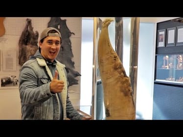The World's Largest Penis Museum