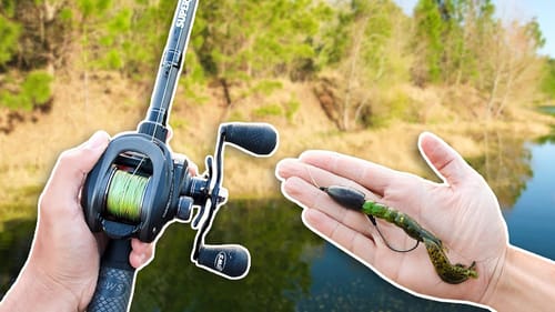 Fishing for BIG Bass in HEAVY Cover (Punching)