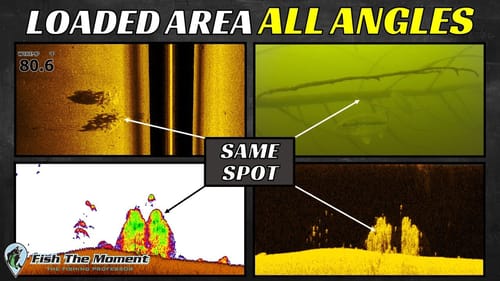 This Video Is the Missing Link To Understanding Fish Finders