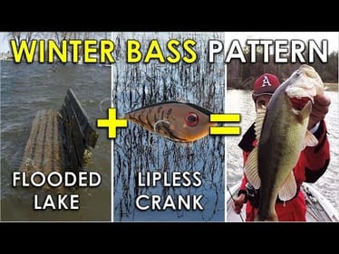 How to Fish Flooded Lakes for Winter Bass in 40 Degree Water! | Bass Fishing Quick Pattern