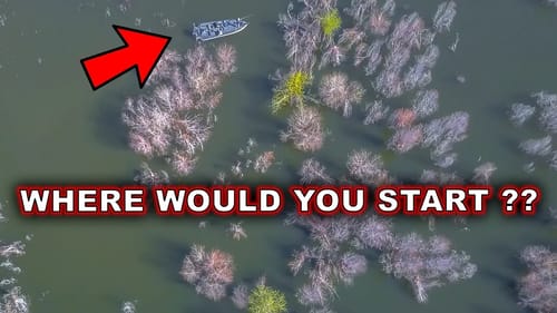 The FASTEST Way To Find Bass In Shallow Cover