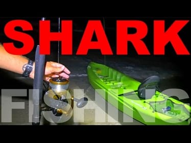 Fishing for TOOTHY Predators!!!