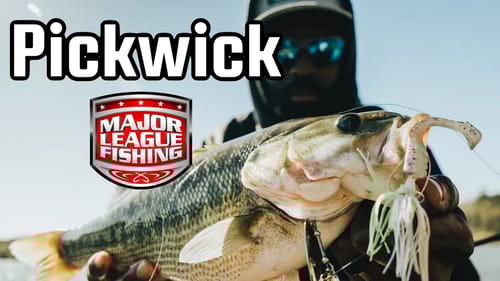 Searching For a  $100,000 Bass on Lake Pickwick