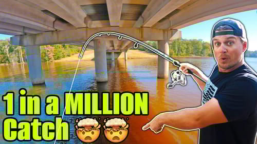 UNBELIEVABLE Trophy Fish Catch you have to See to Believe...