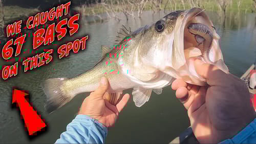 We caught 85 bass in 2 hours! Epic Summer Bass Fishing!!!