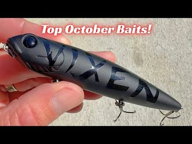 Top October Fishing Baits For Bass!