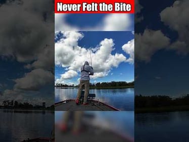 The Biggest HATER of Livescope Just Designed the ULTIMATE Jig for it?