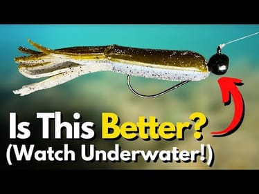 My New #1 Shaky Head Lure? (Must SEE the Shaky Tube Underwater)