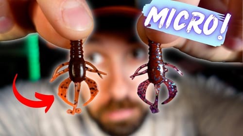 BFS Fishing: EVERYTHING You Need to Get Started + Hard to Find Gear!