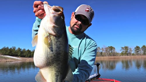 Hot New Lure Catches a GIANT Bass!!