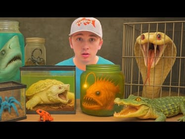 I Bought The Deadliest Animals (to keep as pets)