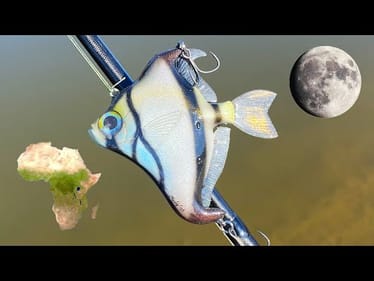 Making an African Mooney Lure [Monodactylus Sebae]