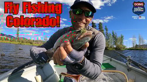 BIG Trout in Colorado! (Fly Fishing!!!)