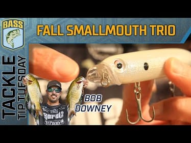 Early Fall Smallmouth necessities with Bob Downey
