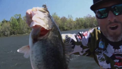 Giant bass of 2016 (so far)