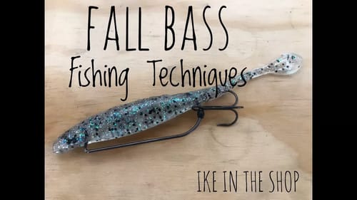 Ike In The Shop: Fishing In The Fall With Flukes