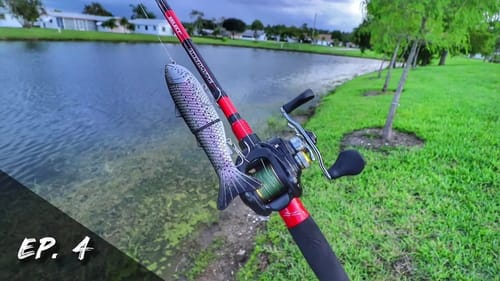 HUGE Swimbait Catches GIANT Bass (Baitsanity Antidote) | Swimbait Showdown: Season 1, ep 4