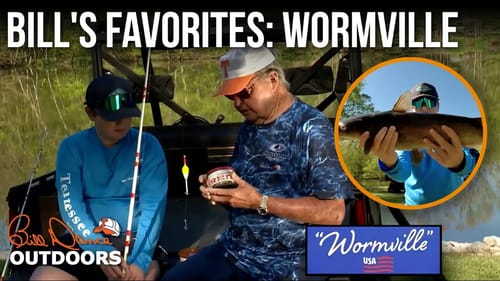Bill's Favorites: Wormville