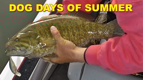 Dog Days of Summer Fishing | How To | Bass Fishing
