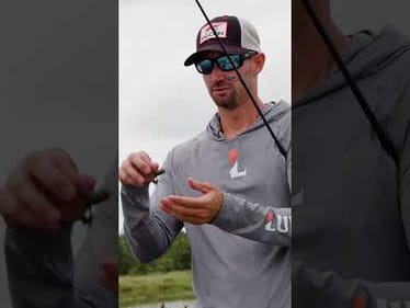 The BENEFITS of the Juvy Craw!