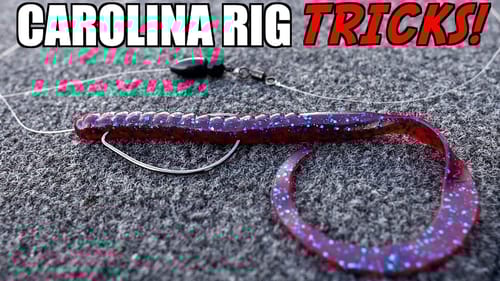 You'll NEVER Rig a Carolina Rig The SAME After This!