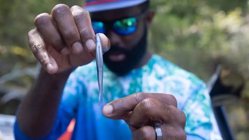Use these baits for BASS feeding on ULTRA SMALL BAITFISH - Fall Fishing