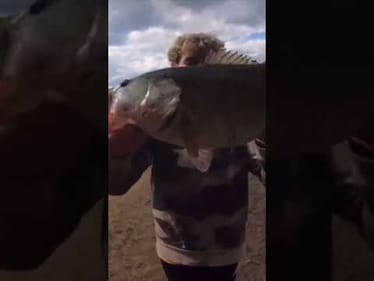 SPRING BASS FISHING IS ALMOST HERE! 🎣 #shorts