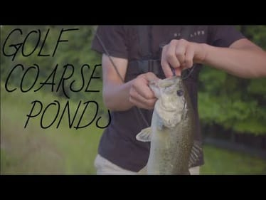 Channel Trailer || Golf Coarse Pond Fishing