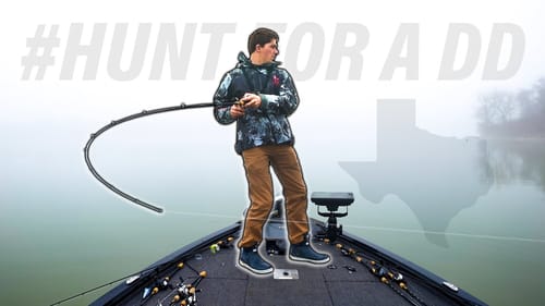 The Hunt For Giant Bass Begins... (HFDD PT 1)