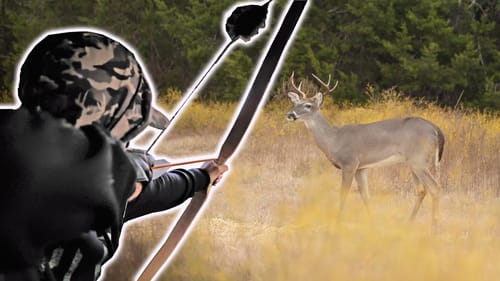 WHITETAIL at 10 YARDS! Self Bow Hunt pt. 2