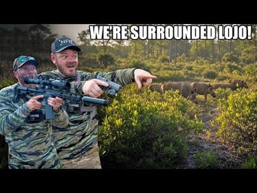 Hunting DESTRUCTIVE Feral Pest! (We're Surrounded)