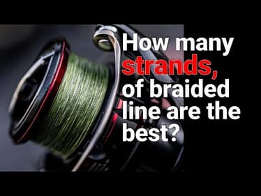 How many strands of braided line are the best?