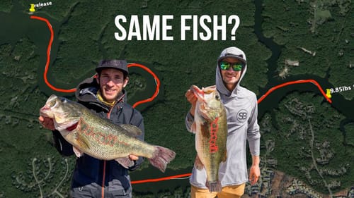 I Caught the Lake Record Bass AGAIN and You won't Believe Where!