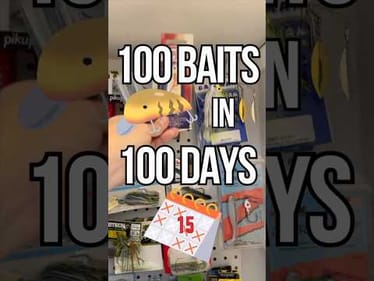 100 Baits In 100 Days - Day 15: Luscious Lures Spoon #fishing