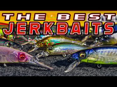 Jerkbait Fishing For Bass: Full Seminar! (Beginner To Advanced)