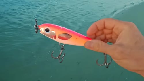 Fishing Remote Beaches in Saudi Arabia
