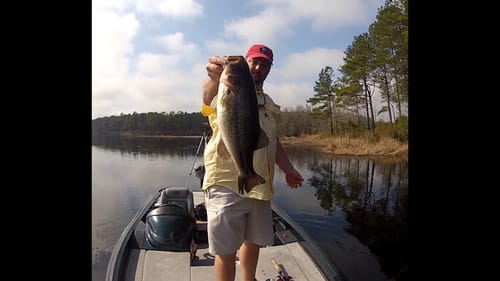 Bass Fishing - The Bass Spawn in a Nutshell