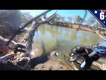 Catching The ELUSIVE DRAGON FISH in Snaggy Creek (UNEXPECTED)