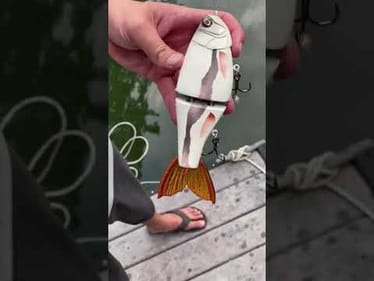 Swimbait Review: Hiroshima Custom 7" Shad Glide