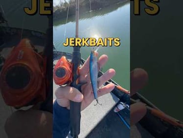 Are Jerkbaits REALLY The BEST Bait For Fishing In Winter?