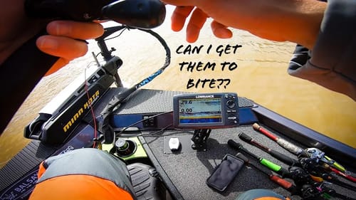 Fishing ULTRA MUDDY Cold Water Conditions on Lake Gaston // Super Tough Day of Fishing!!