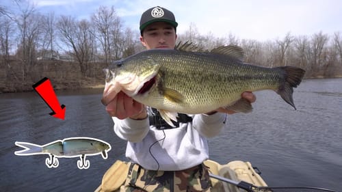 Catching a Limit of BIG Bass on the DRT Tiny Klash -- Spring Swimbait Fishing