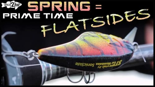 How Flat-Sided Crankbaits Excel for Springtime Bass