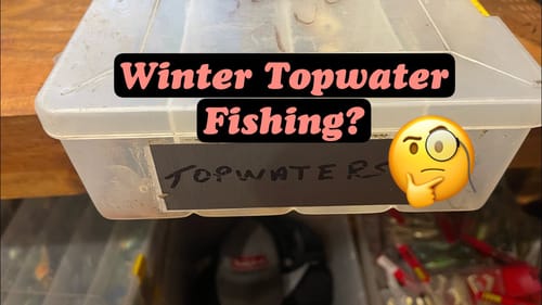 Winter Topwater Fishing…Let Me Break Some Myths…